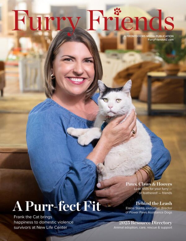 Frontdoors Cover